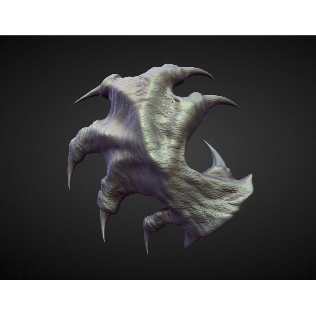 Wings and Fins 3D Model – High Poly Character Anatomy, Blender - View 6
