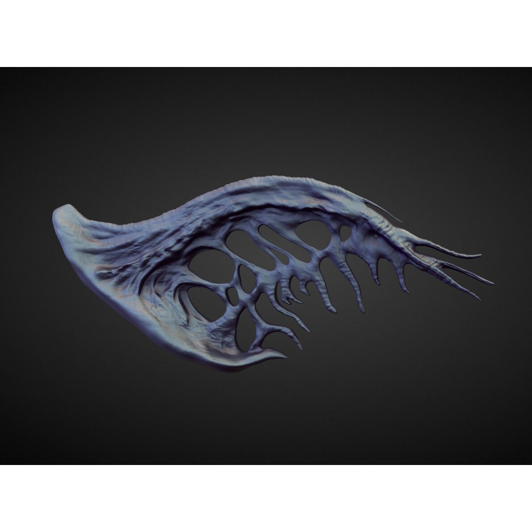 Wings and Fins 3D Model – High Poly Character Anatomy, Blender - View 7