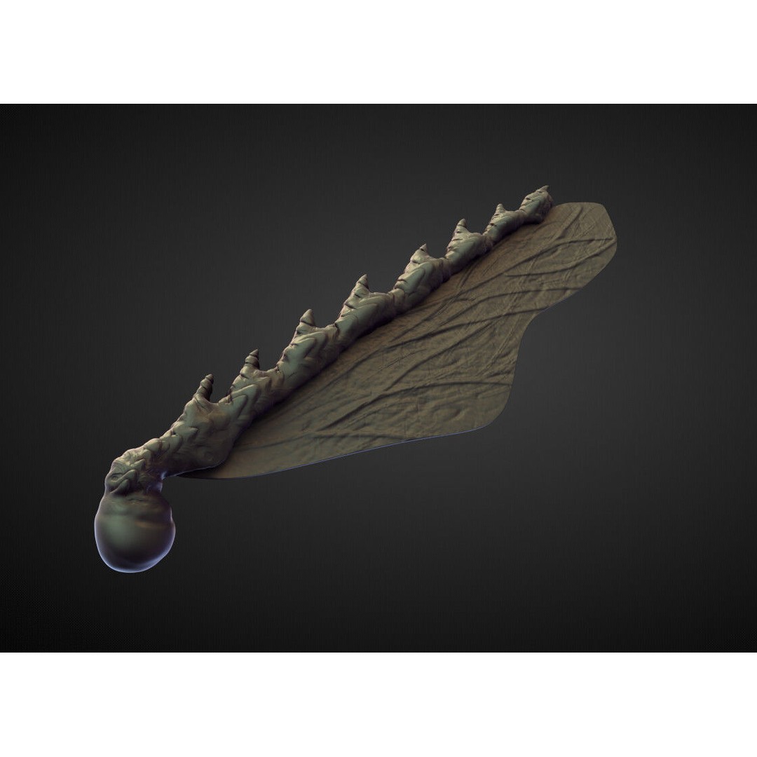 Wings and Fins 3D Model – High Poly Character Anatomy, Blender - View 8