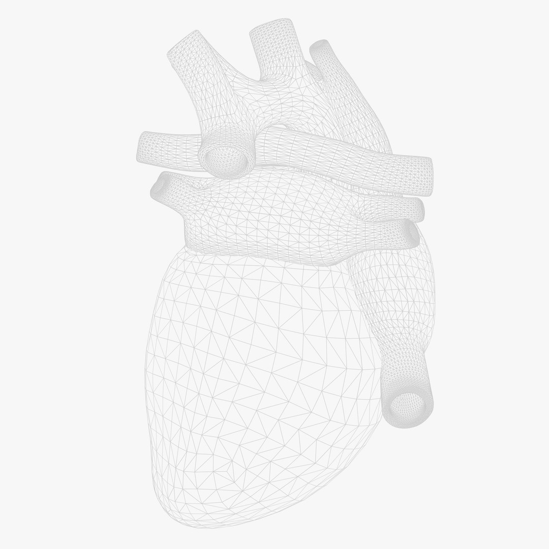 Human Heart Anatomy 3D Model – Animated Medical Asset, FBX & OBJ - View 10