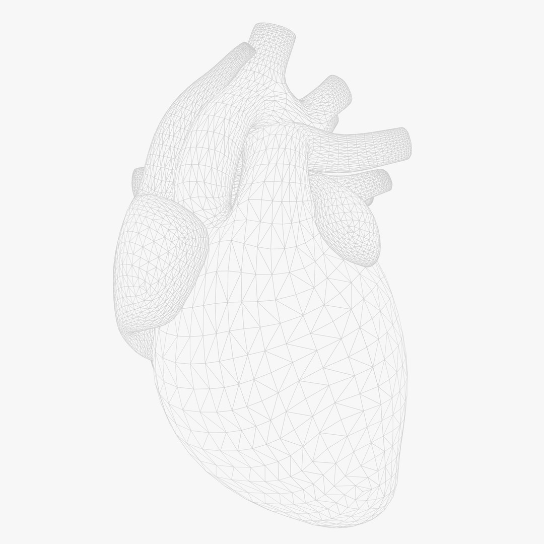 Human Heart Anatomy 3D Model – Animated Medical Asset, FBX & OBJ - View 9