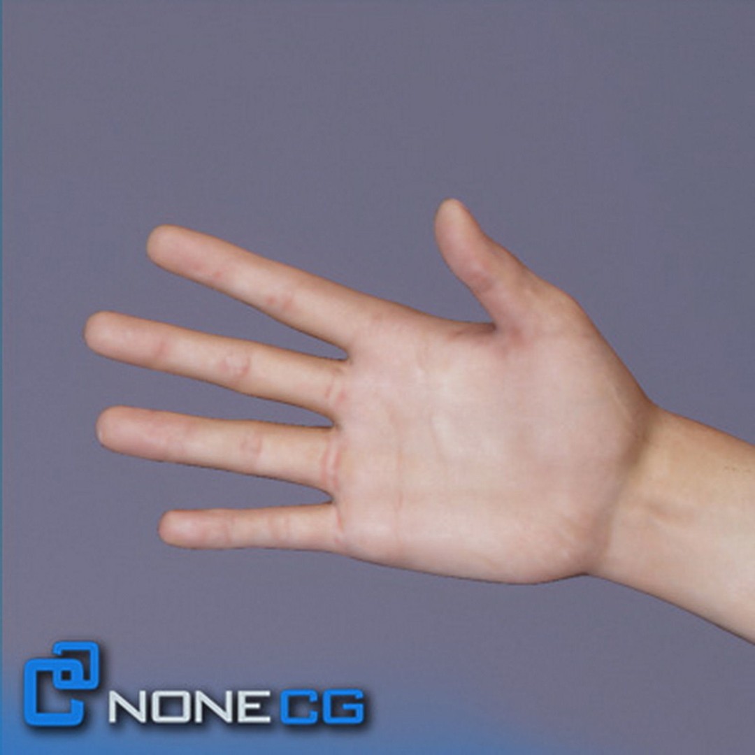 Adult Male Tom Rigged 3D Model – High Poly Character for Animation - View 22