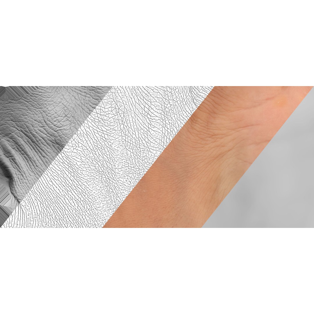 Retopologized 3D Hand Model – High Poly Human Scan, OBJ, ZTL