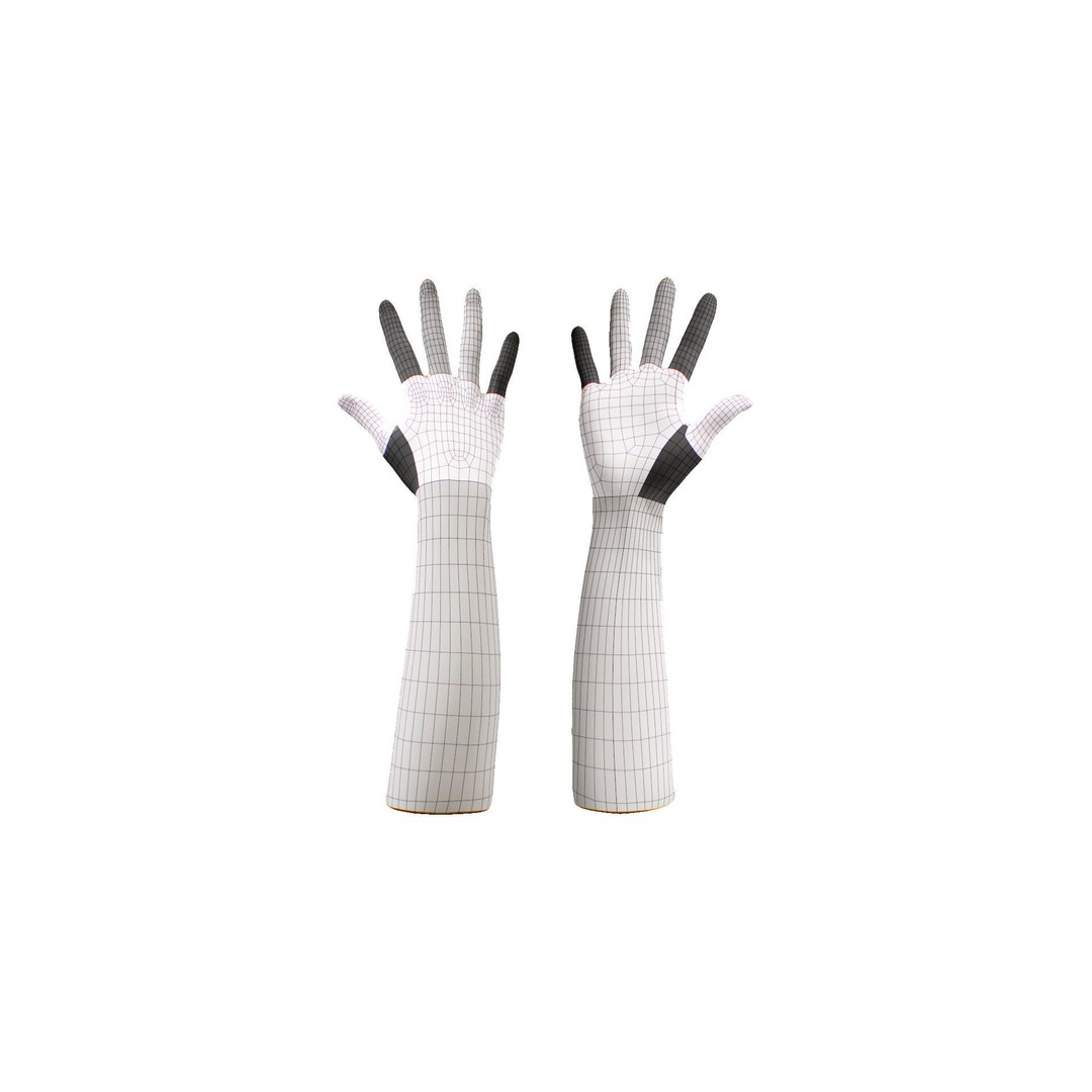Retopologized 3D Hand Model – High Poly Human Scan, OBJ, ZTL - View 10