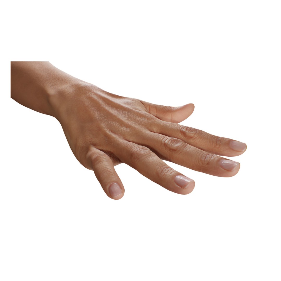 Retopologized 3D Hand Model – High Poly Human Scan, OBJ, ZTL - View 3