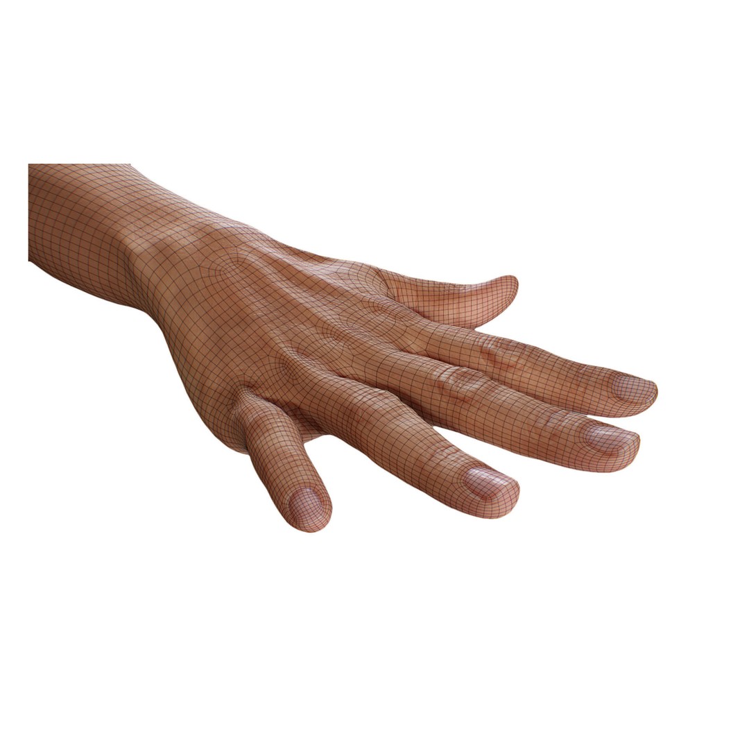 Retopologized 3D Hand Model – High Poly Human Scan, OBJ, ZTL - View 4