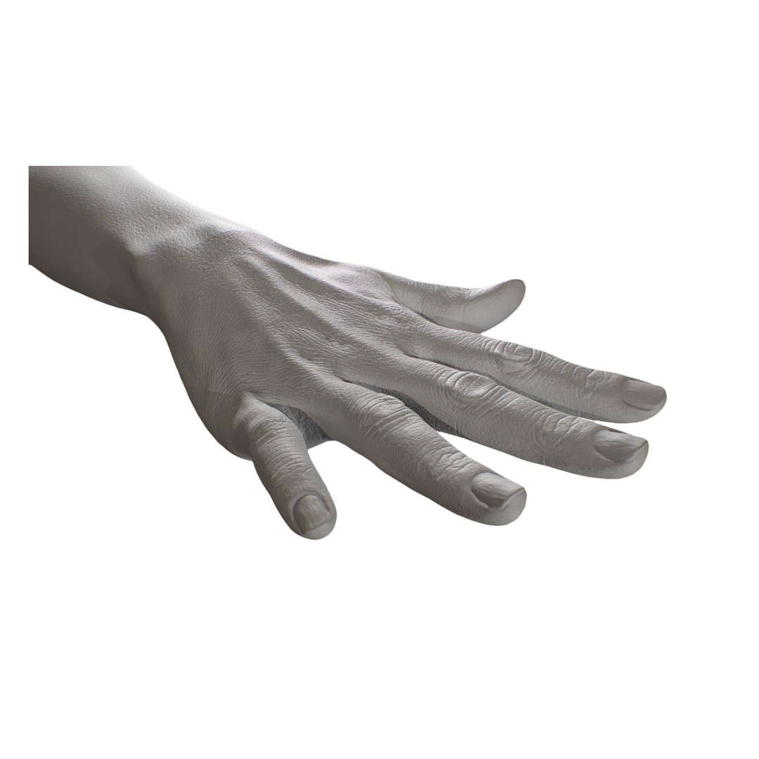 Retopologized 3D Hand Model – High Poly Human Scan, OBJ, ZTL - View 5