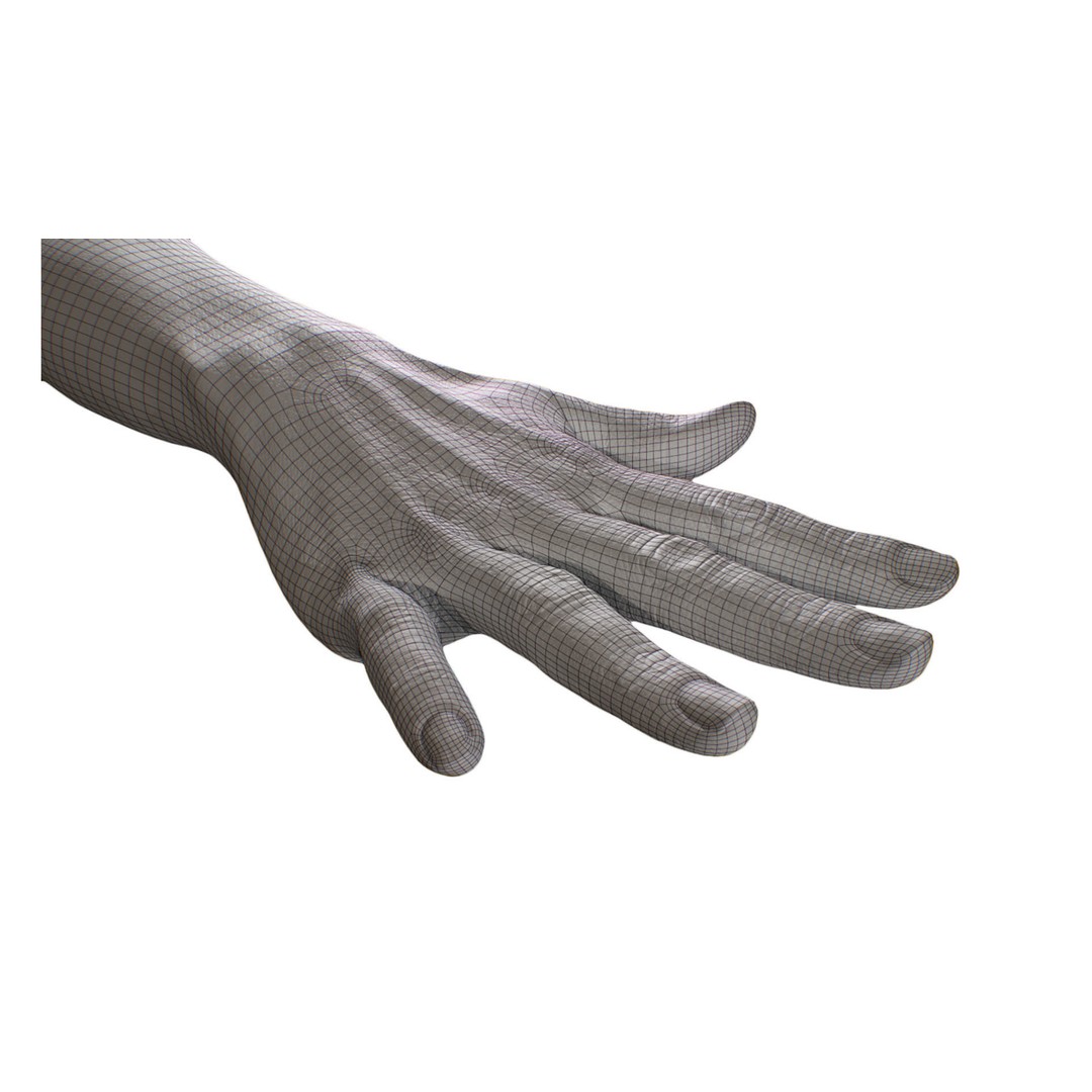 Retopologized 3D Hand Model – High Poly Human Scan, OBJ, ZTL - View 6