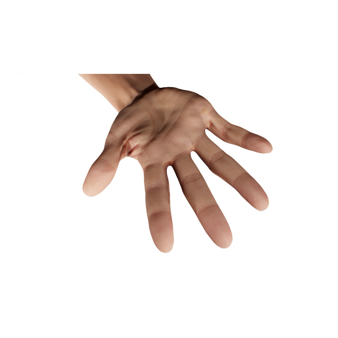 Retopologized 3D Hand Model – High Poly Human Scan, OBJ, ZTL - View 7