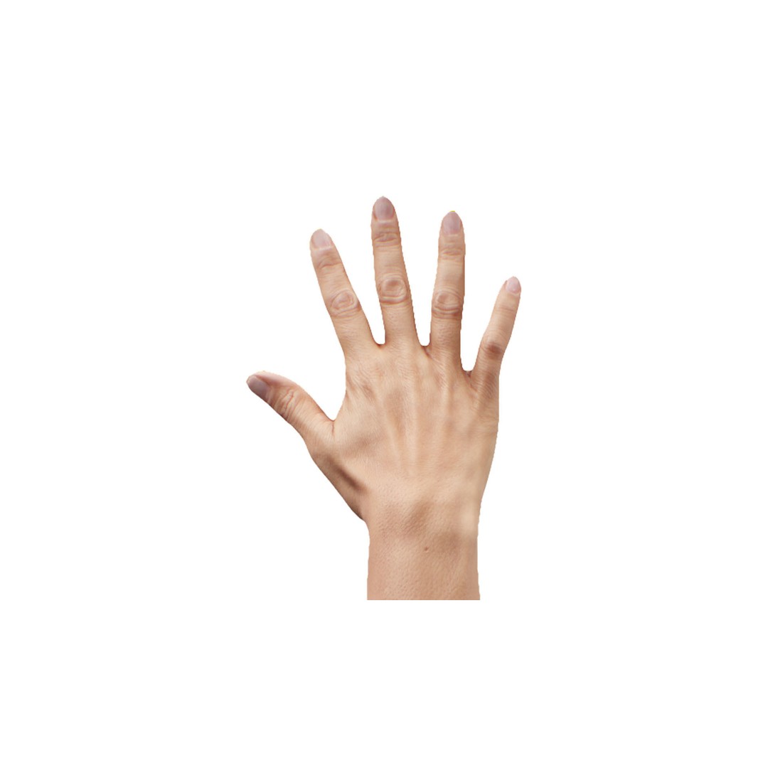 Retopologized 3D Hand Model – High Poly Human Scan, OBJ, ZTL - View 8