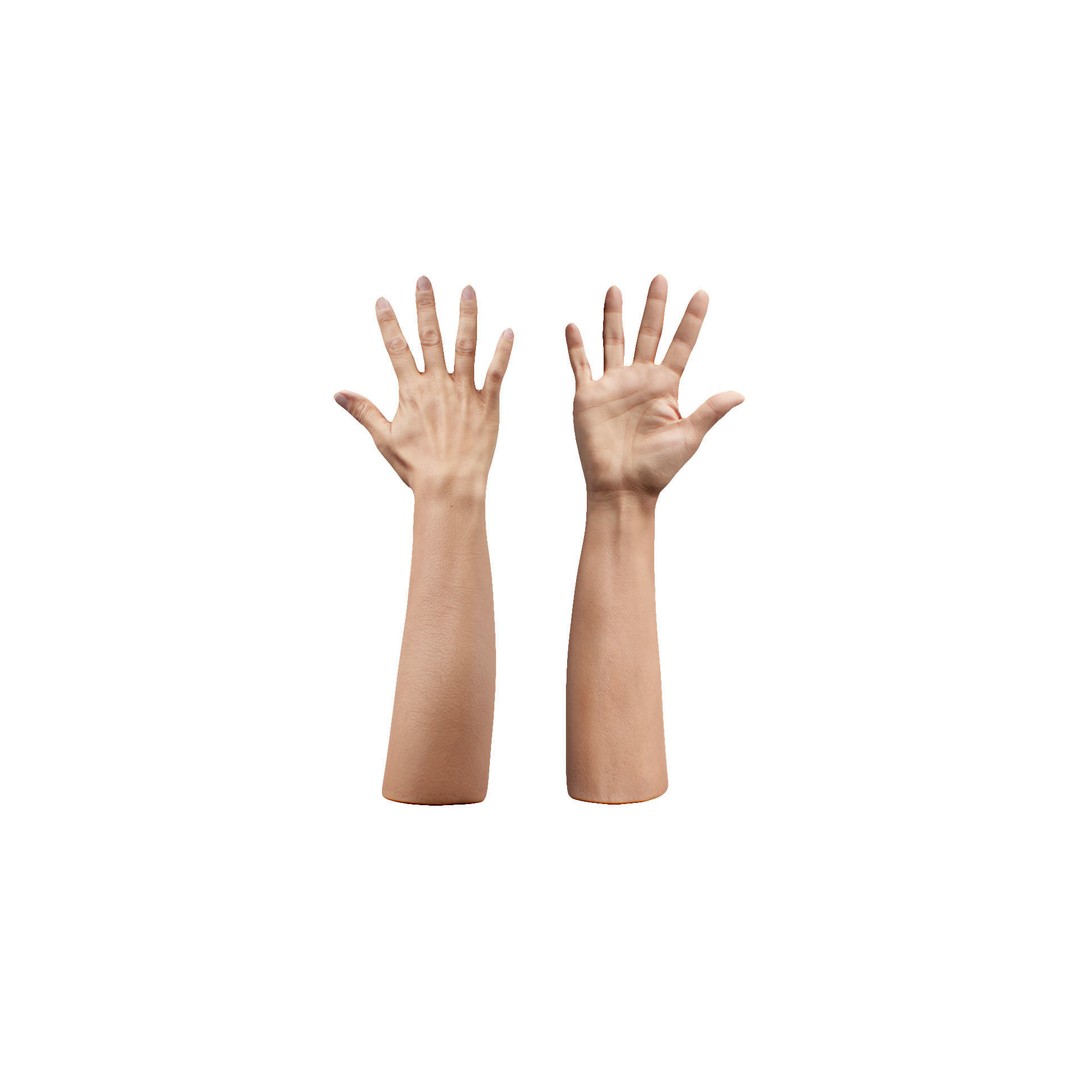 Retopologized 3D Hand Model – High Poly Human Scan, OBJ, ZTL - View 9