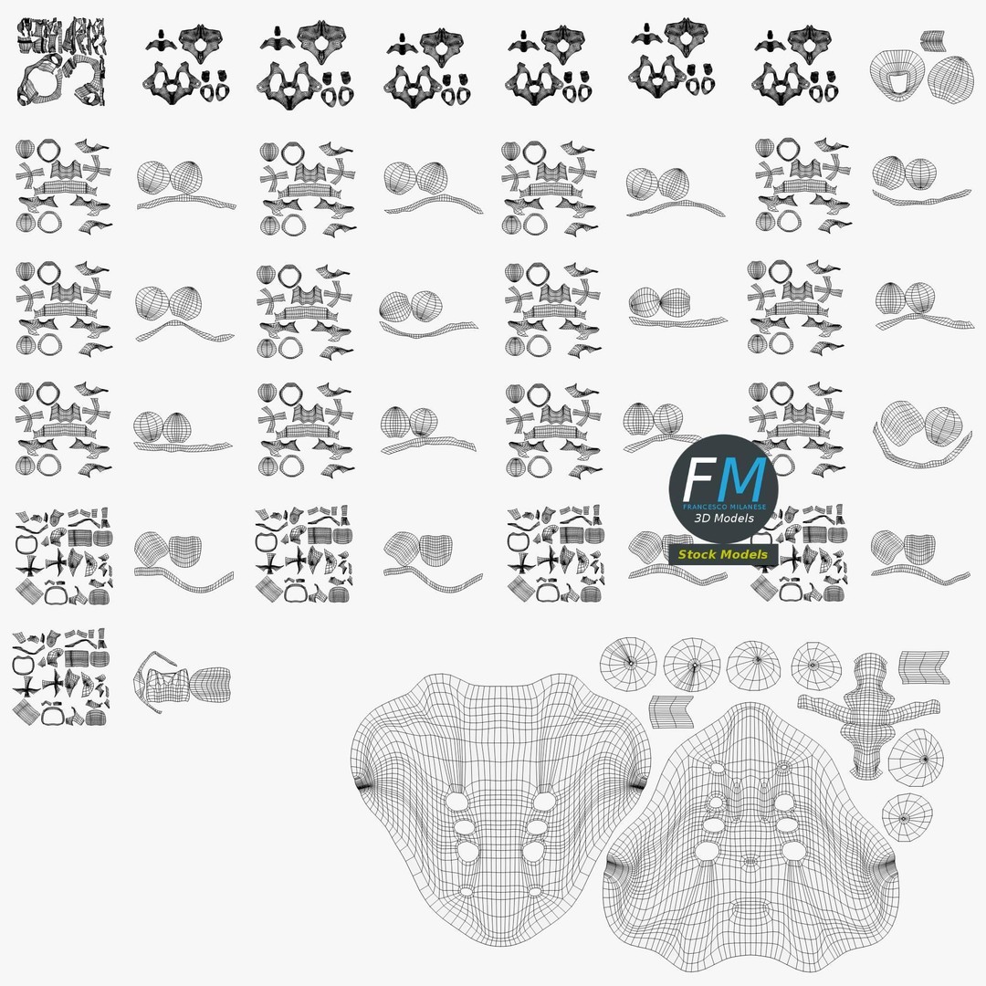 Human Spine 3D Model – Detailed Anatomy Asset with PBR Textures