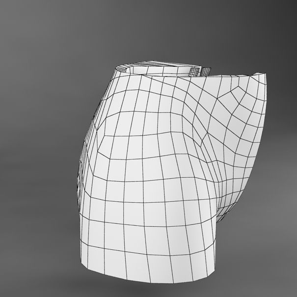 Female Reproductive System 3D Model – Realistic Anatomy Asset, FBX - View 10
