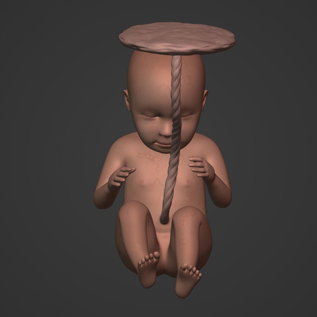 Human Fetus 3D Model – Low Poly Rigged Character for Animation - View 10