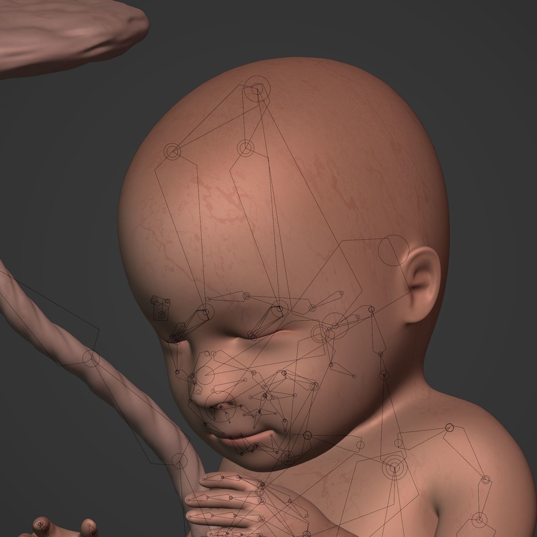 Human Fetus 3D Model – Low Poly Rigged Character for Animation - View 12