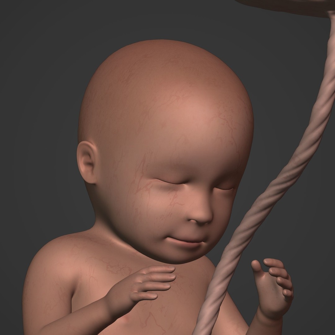 Human Fetus 3D Model – Low Poly Rigged Character for Animation - View 15