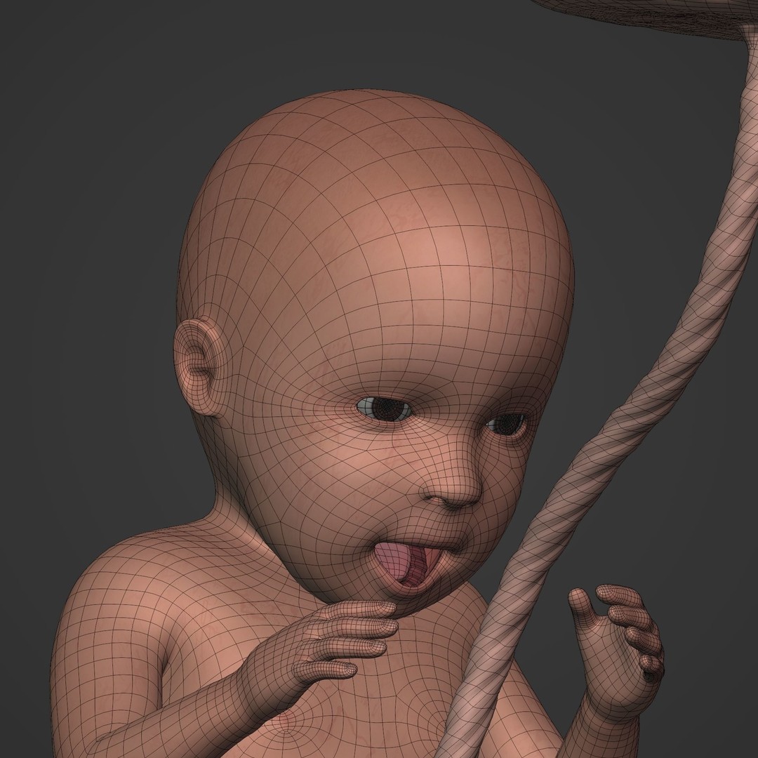 Human Fetus 3D Model – Low Poly Rigged Character for Animation - View 16