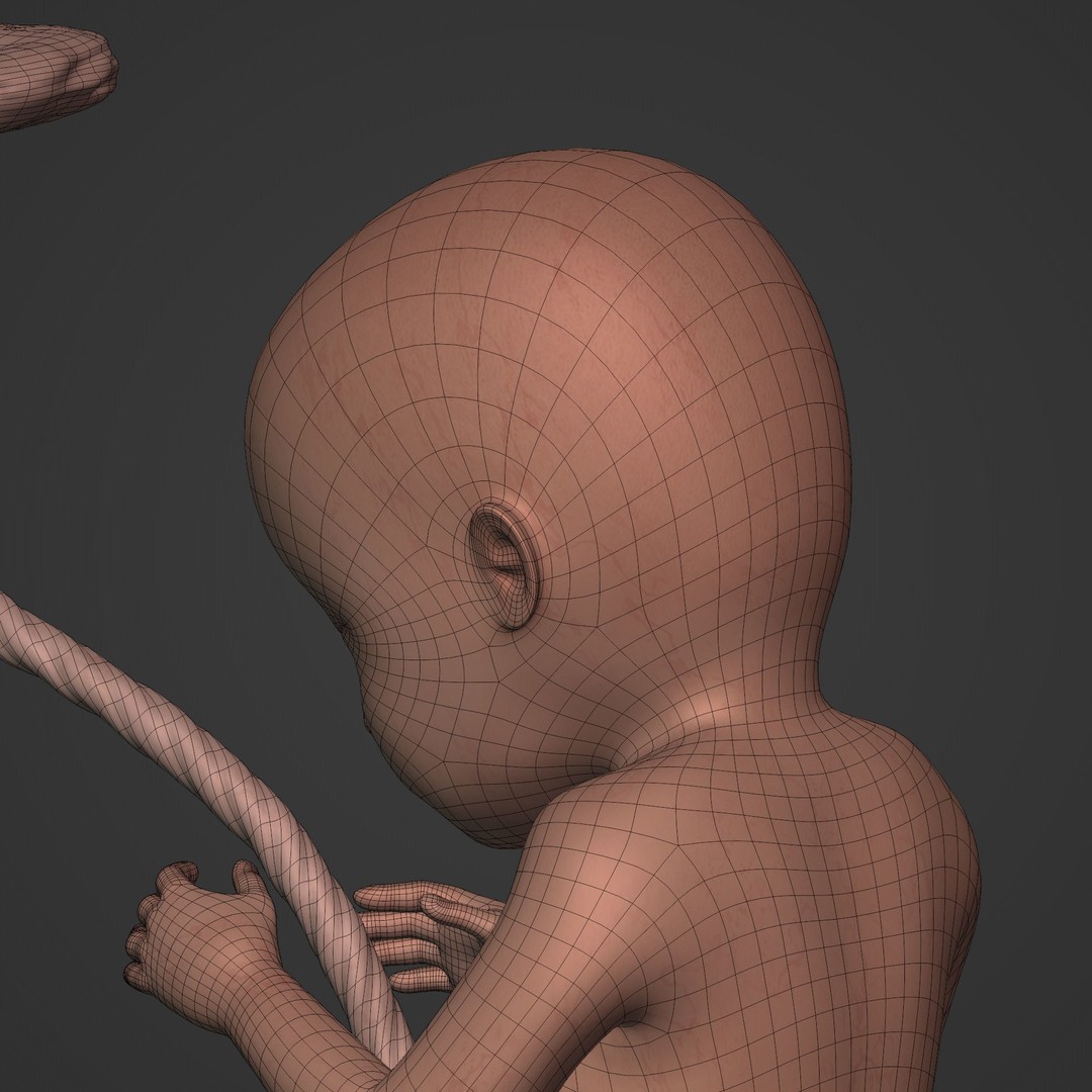 Human Fetus 3D Model – Low Poly Rigged Character for Animation - View 28
