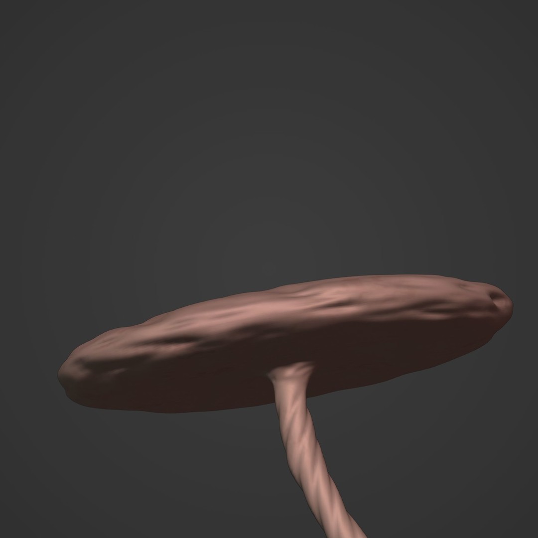 Human Fetus 3D Model – Low Poly Rigged Character for Animation - View 29