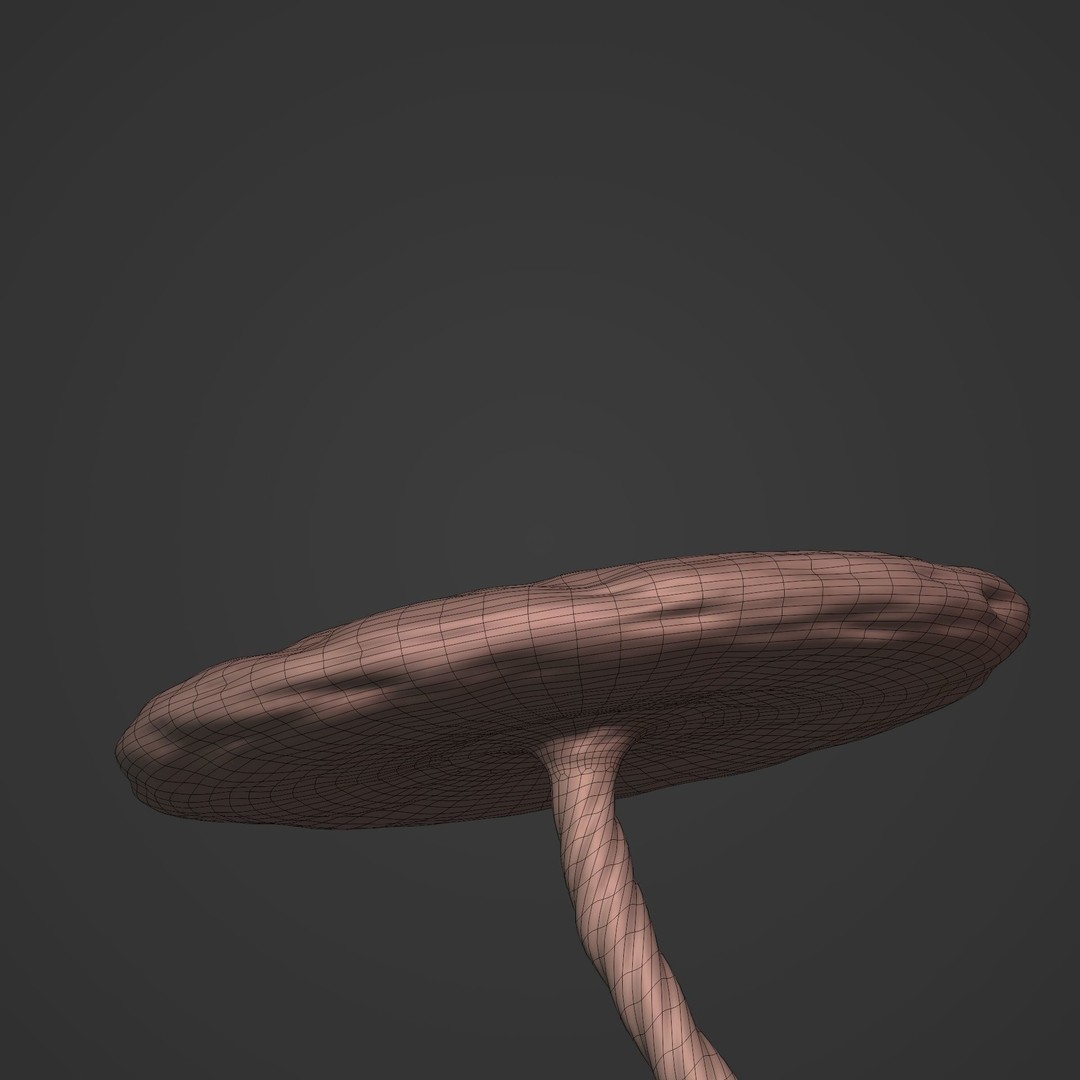 Human Fetus 3D Model – Low Poly Rigged Character for Animation - View 30