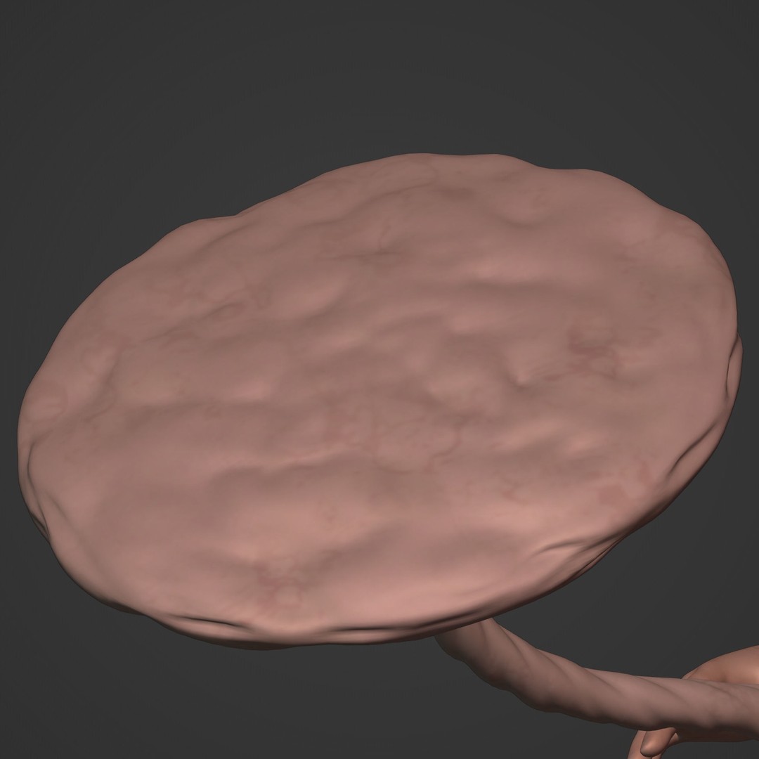 Human Fetus 3D Model – Low Poly Rigged Character for Animation - View 31