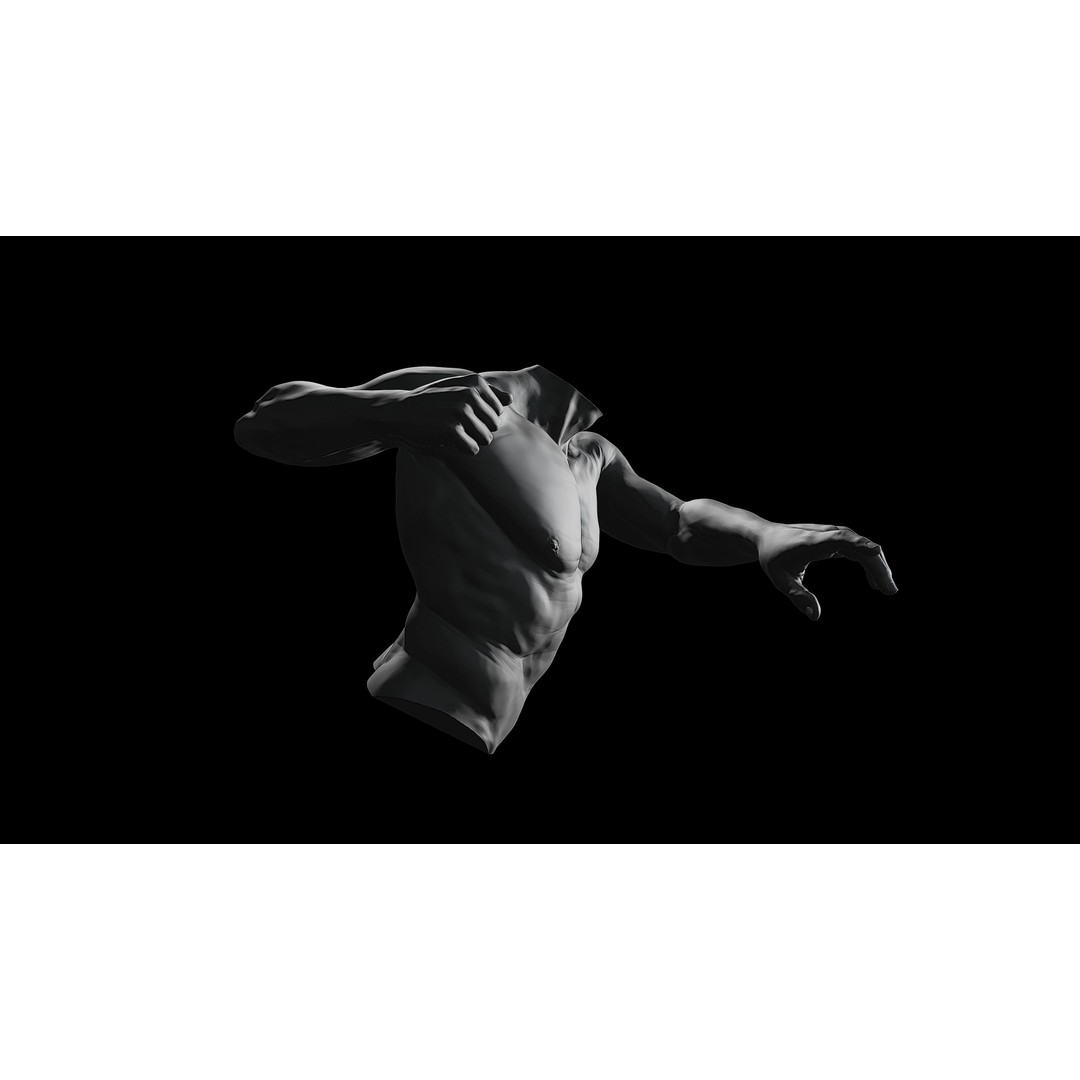 3D Printable Male Torso with Arms 3D Model – High Poly Anatomical Sculpt, OBJ, FBX, STL - View 10