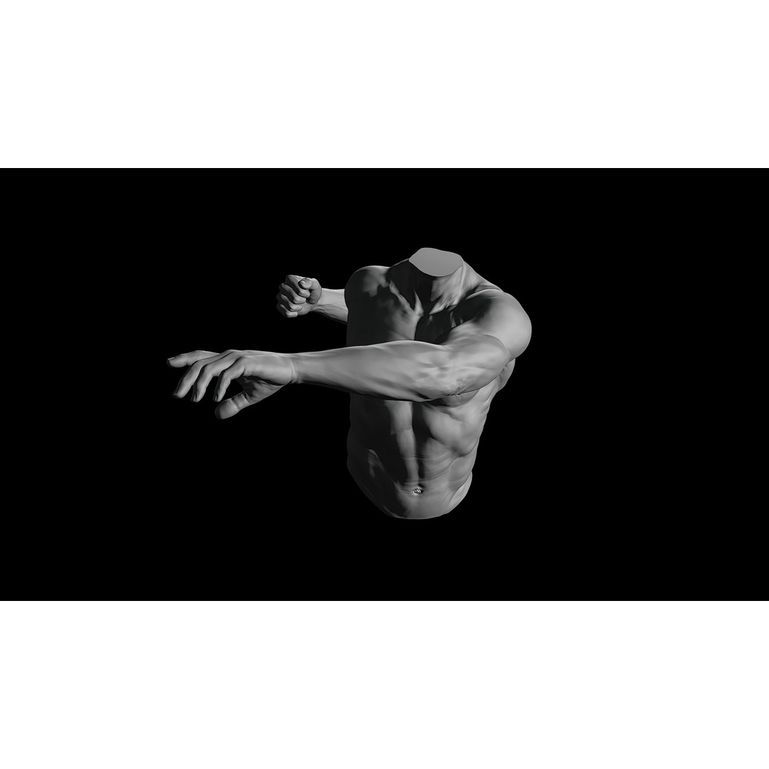 3D Printable Male Torso with Arms 3D Model – High Poly Anatomical Sculpt, OBJ, FBX, STL - View 11