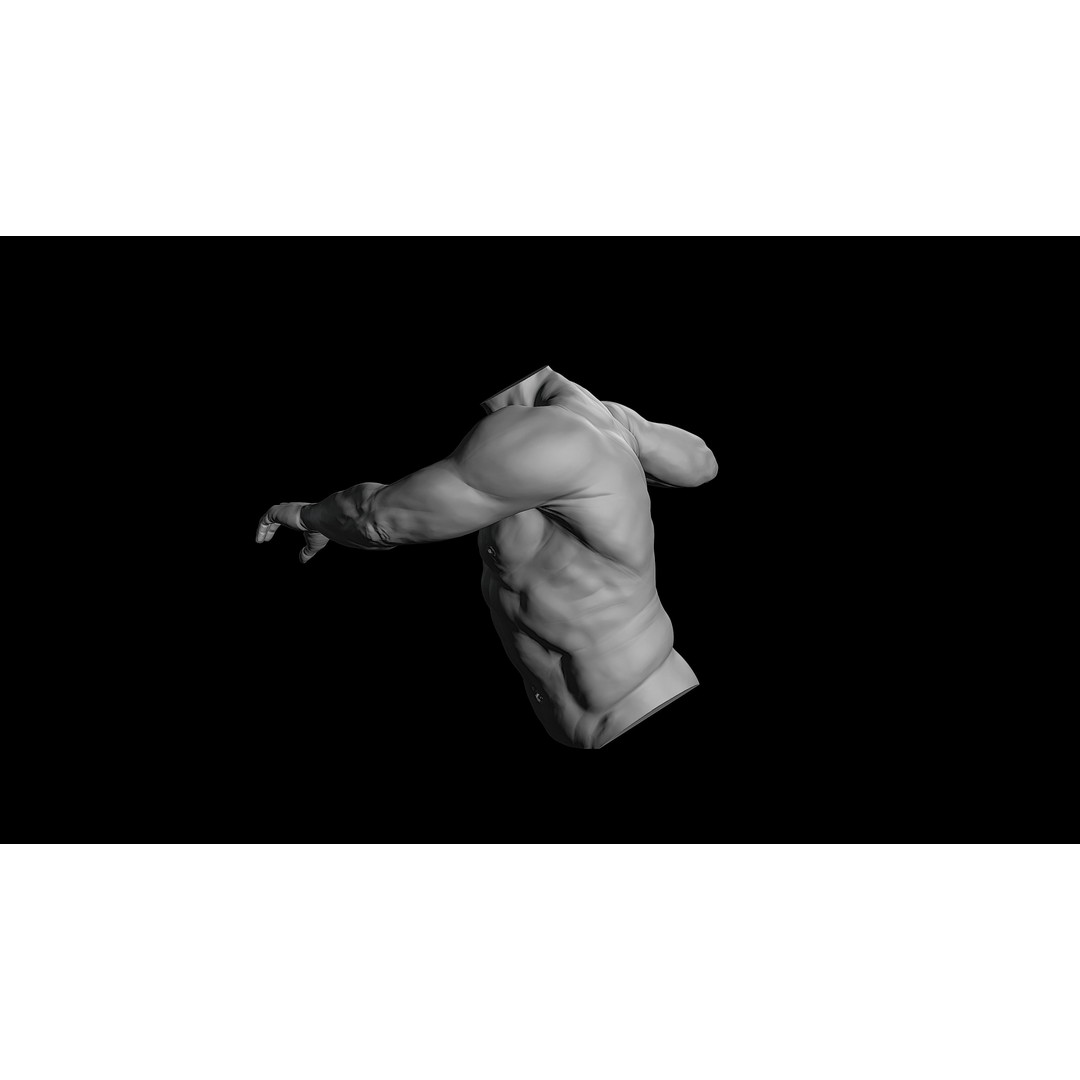 3D Printable Male Torso with Arms 3D Model – High Poly Anatomical Sculpt, OBJ, FBX, STL - View 12