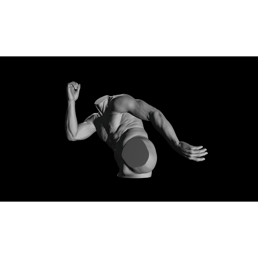 3D Printable Male Torso with Arms 3D Model – High Poly Anatomical Sculpt, OBJ, FBX, STL - View 14
