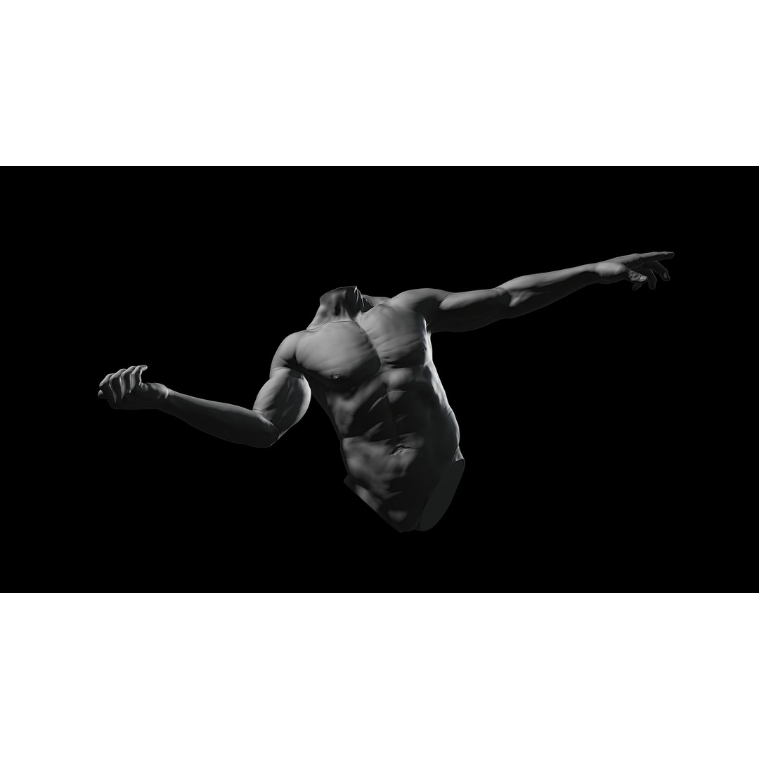 3D Printable Male Torso with Arms 3D Model – High Poly Anatomical Sculpt, OBJ, FBX, STL - View 19