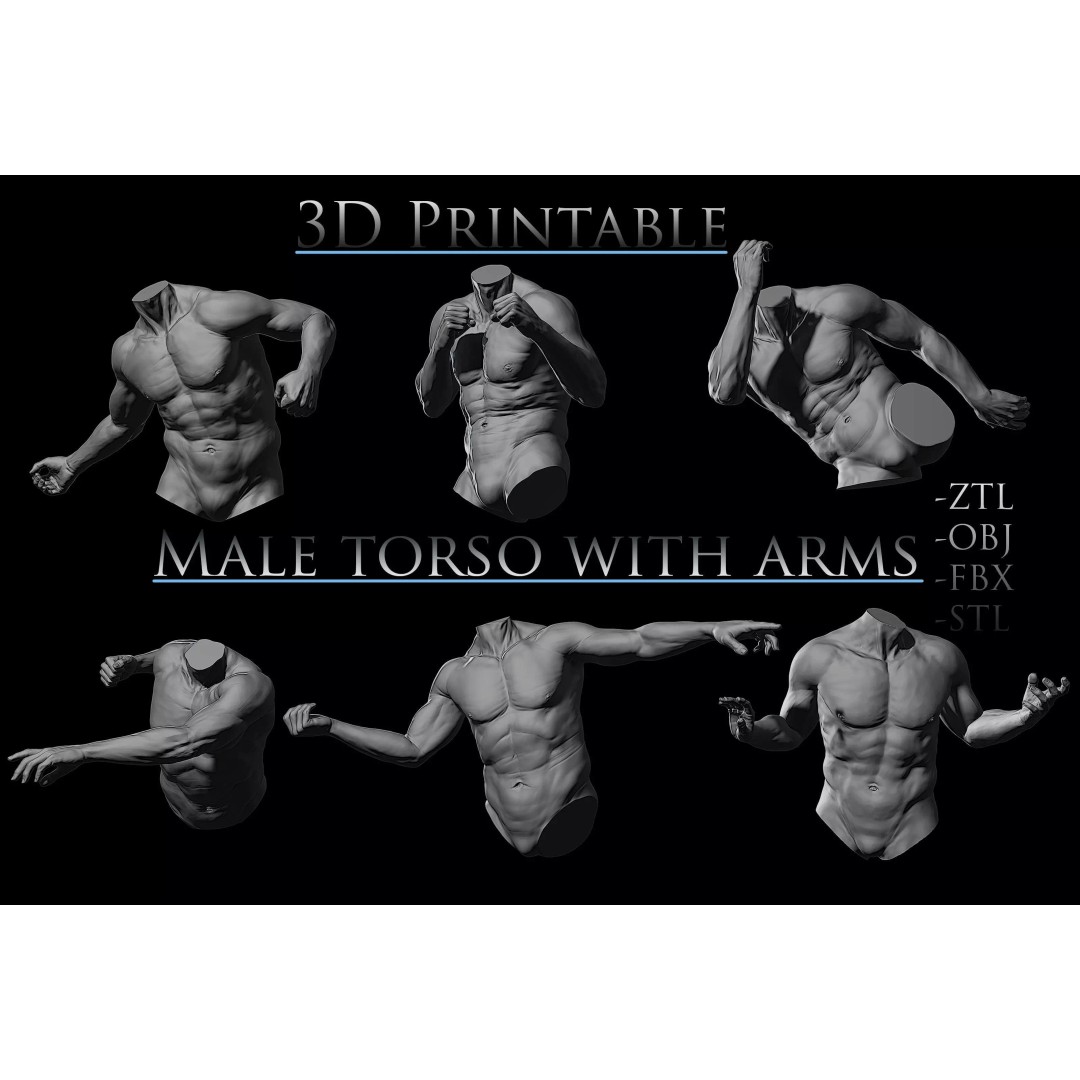 3D Printable Male Torso with Arms 3D Model – High Poly Anatomical Sculpt, OBJ, FBX, STL - View 2