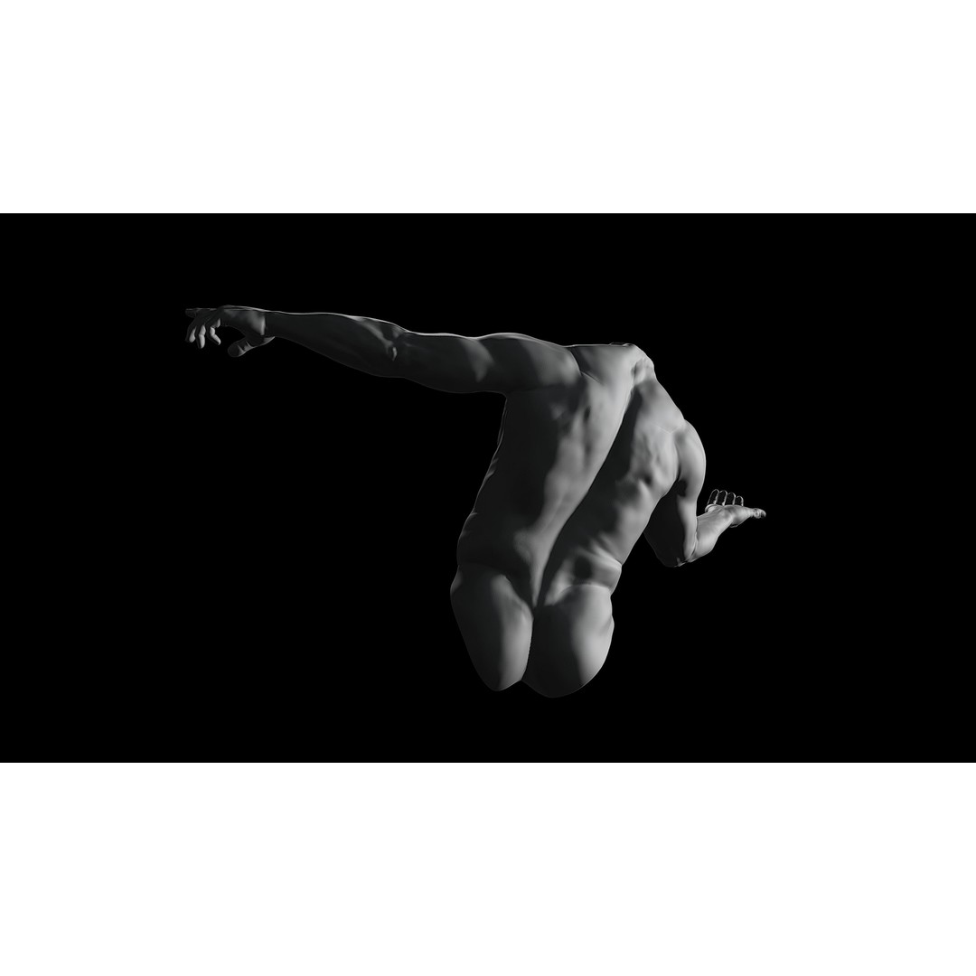 3D Printable Male Torso with Arms 3D Model – High Poly Anatomical Sculpt, OBJ, FBX, STL - View 21