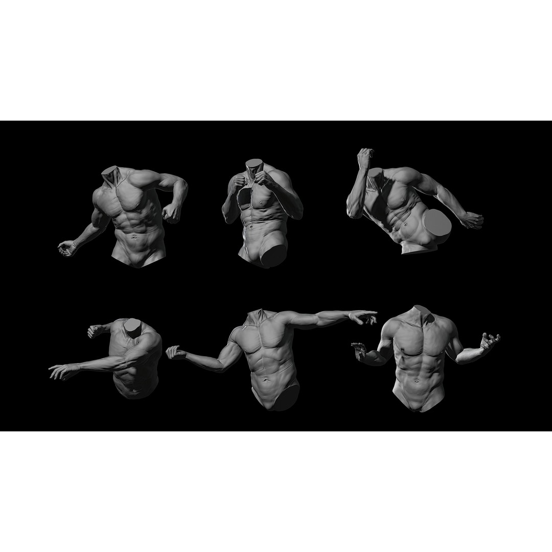 3D Printable Male Torso with Arms 3D Model – High Poly Anatomical Sculpt, OBJ, FBX, STL - View 3