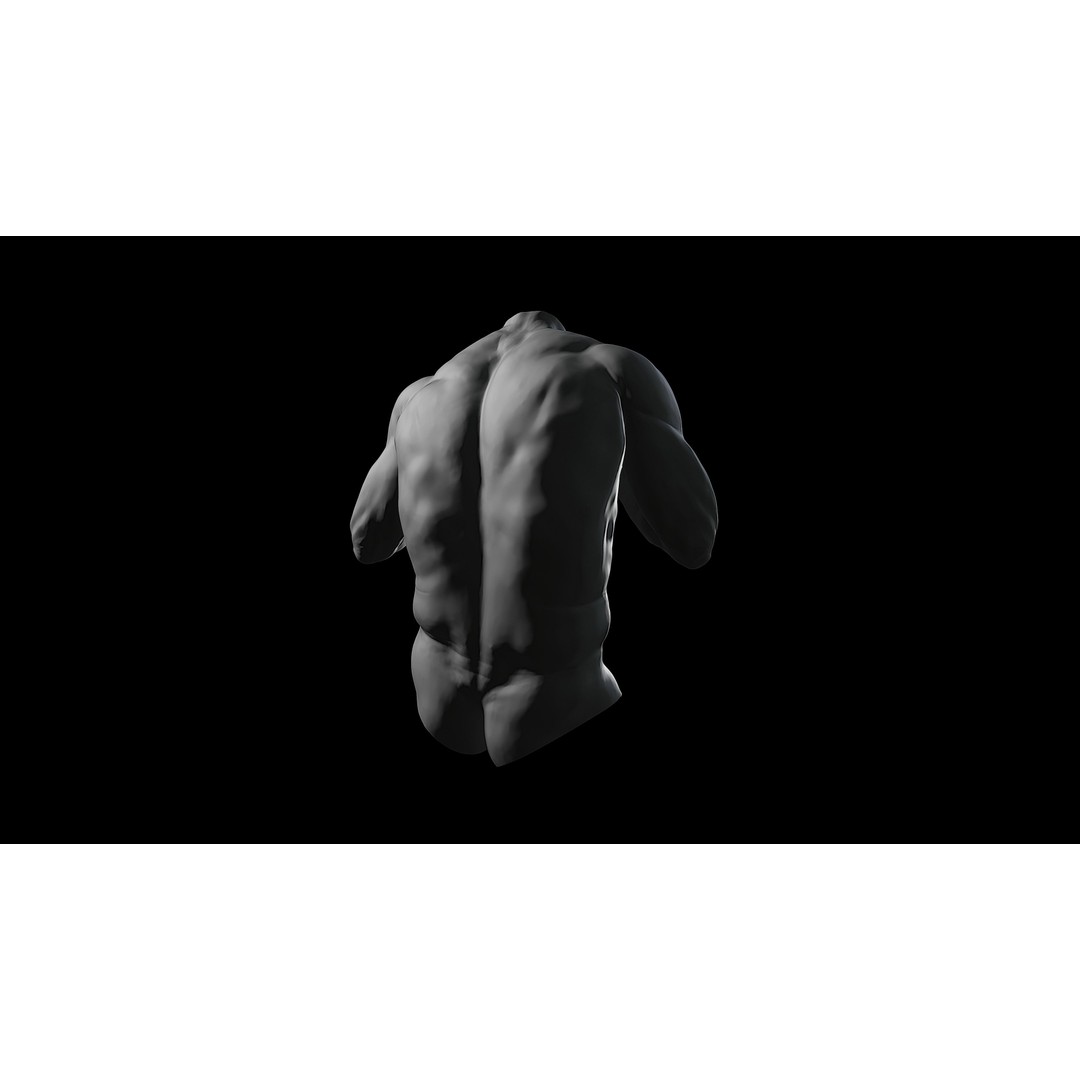 3D Printable Male Torso with Arms 3D Model – High Poly Anatomical Sculpt, OBJ, FBX, STL - View 9