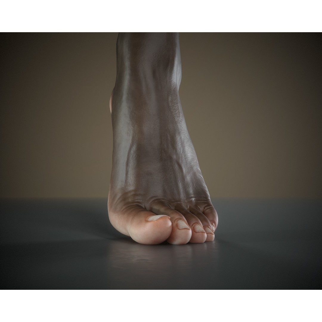 Woman Foot 3D Model – Low Poly Game Ready Asset, FBX, OBJ