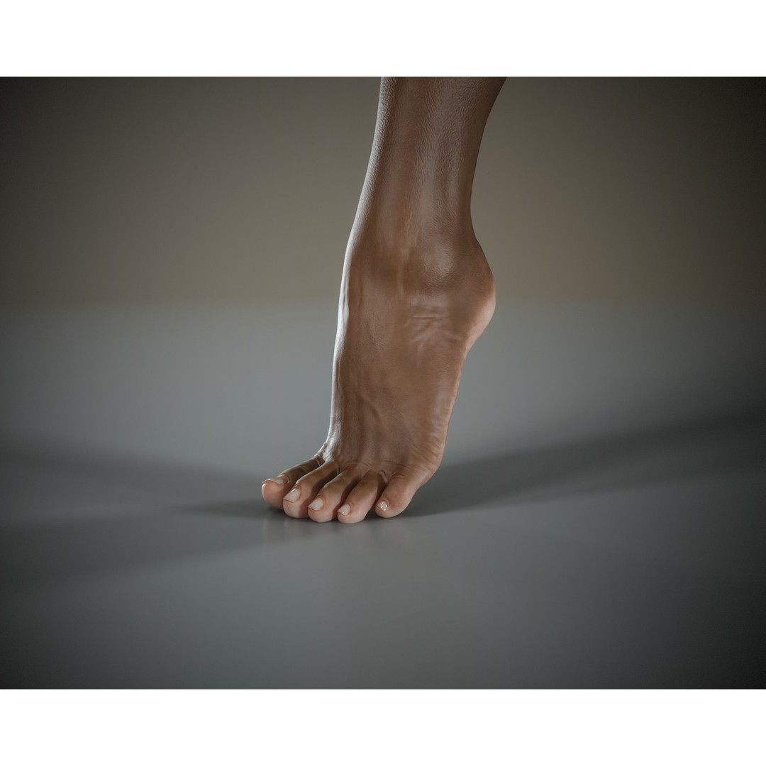 Woman Foot 3D Model – Low Poly Game Ready Asset, FBX, OBJ - View 21