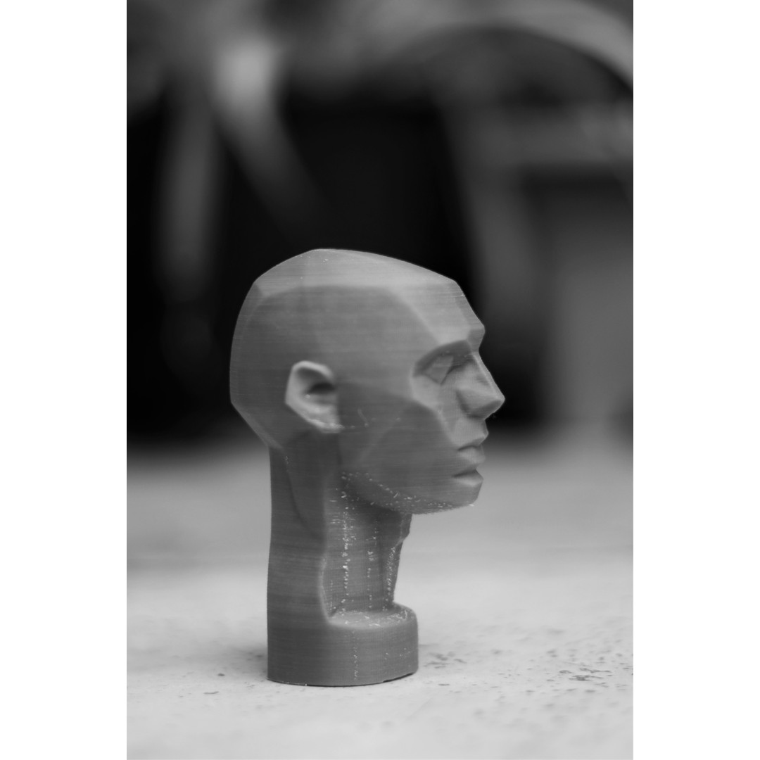 John Asaro Head 3D Model – Anatomical Study Bust, OBJ/STL Formats