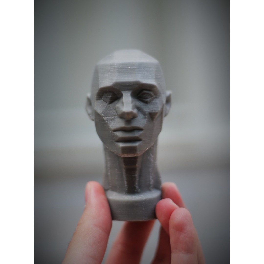 John Asaro Head 3D Model – Anatomical Study Bust, OBJ/STL Formats - View 10