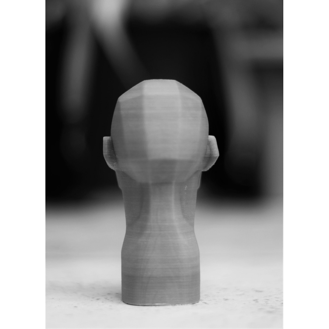 John Asaro Head 3D Model – Anatomical Study Bust, OBJ/STL Formats - View 12