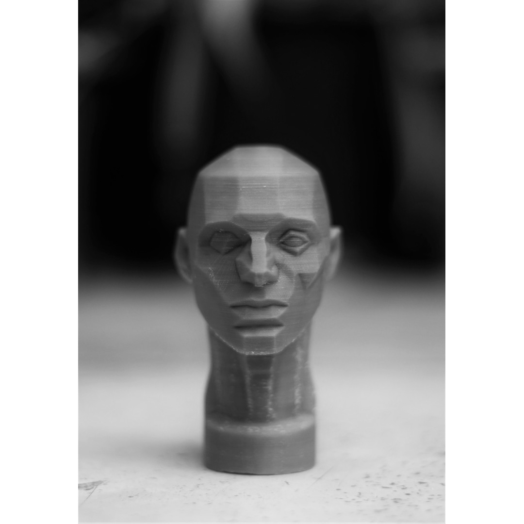 John Asaro Head 3D Model – Anatomical Study Bust, OBJ/STL Formats - View 13