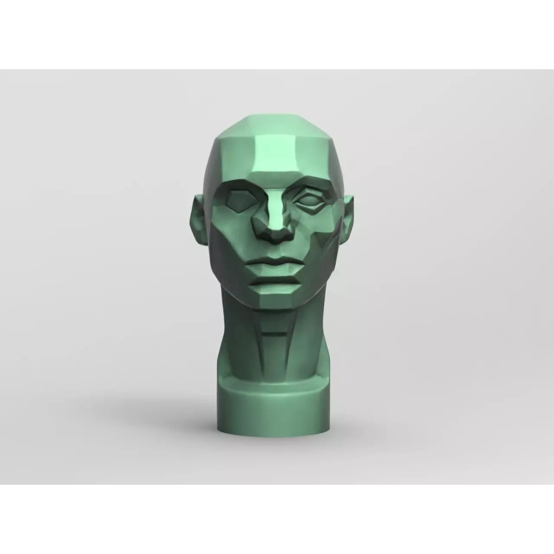 John Asaro Head 3D Model – Anatomical Study Bust, OBJ/STL Formats - View 2