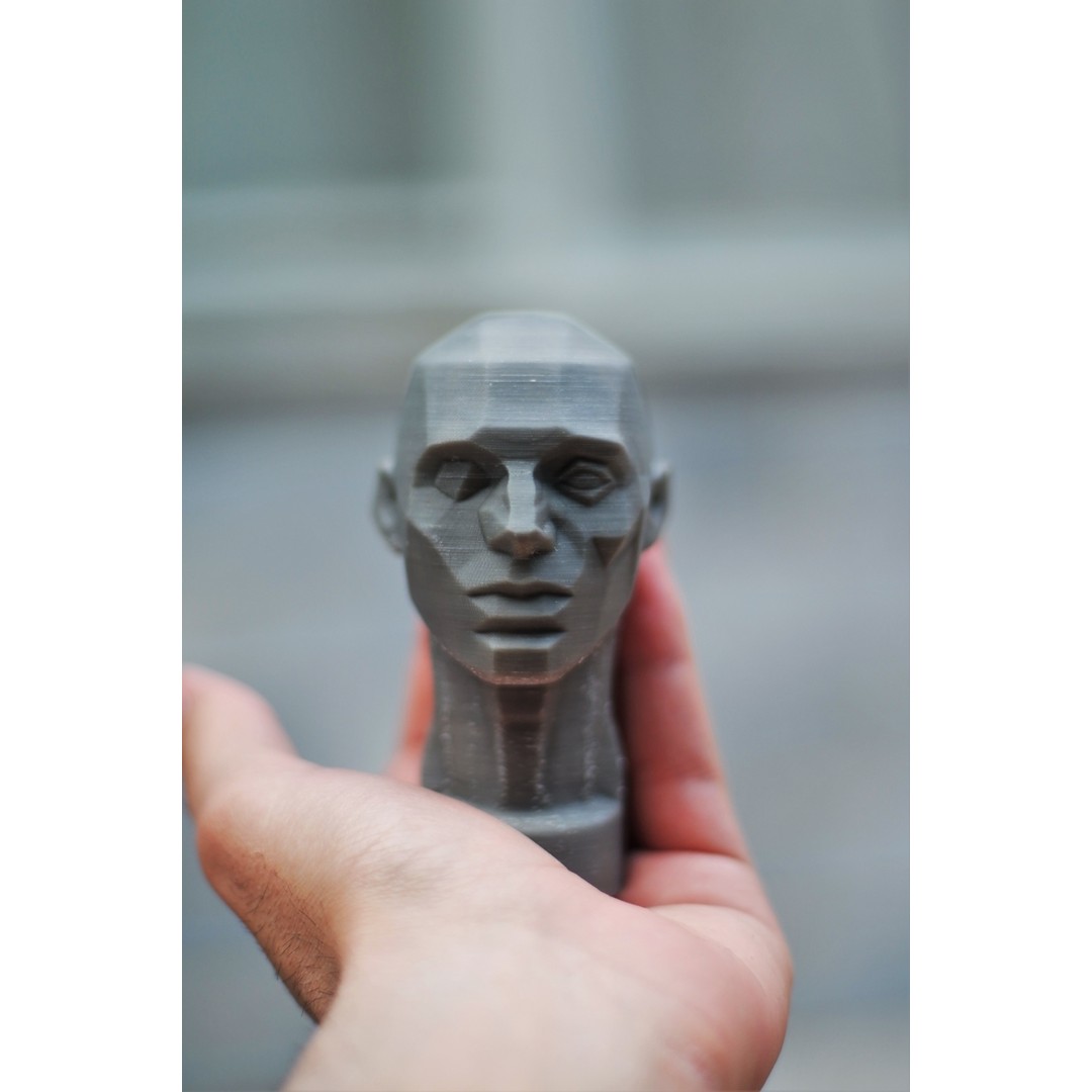 John Asaro Head 3D Model – Anatomical Study Bust, OBJ/STL Formats - View 3