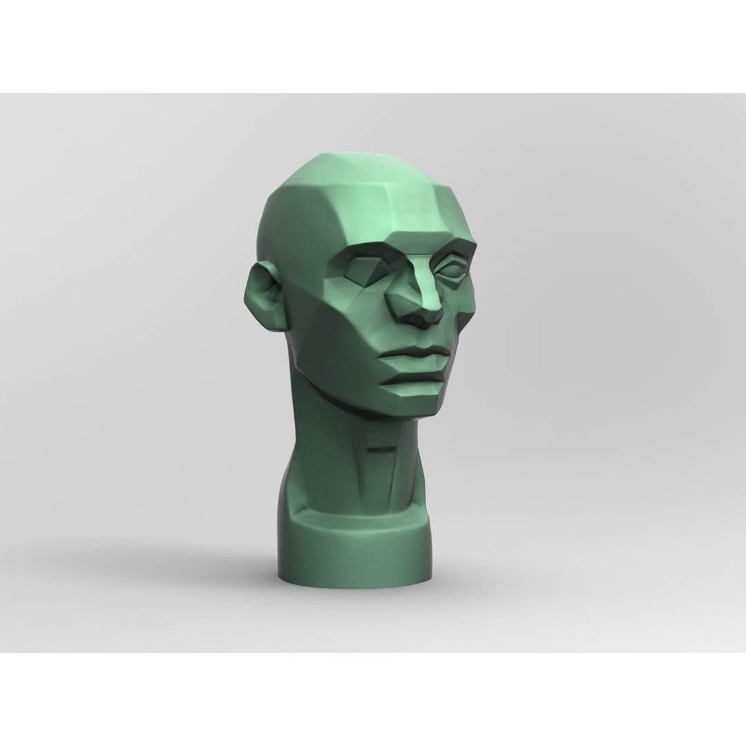 John Asaro Head 3D Model – Anatomical Study Bust, OBJ/STL Formats - View 4