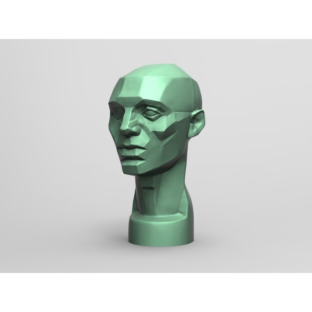 John Asaro Head 3D Model – Anatomical Study Bust, OBJ/STL Formats - View 5