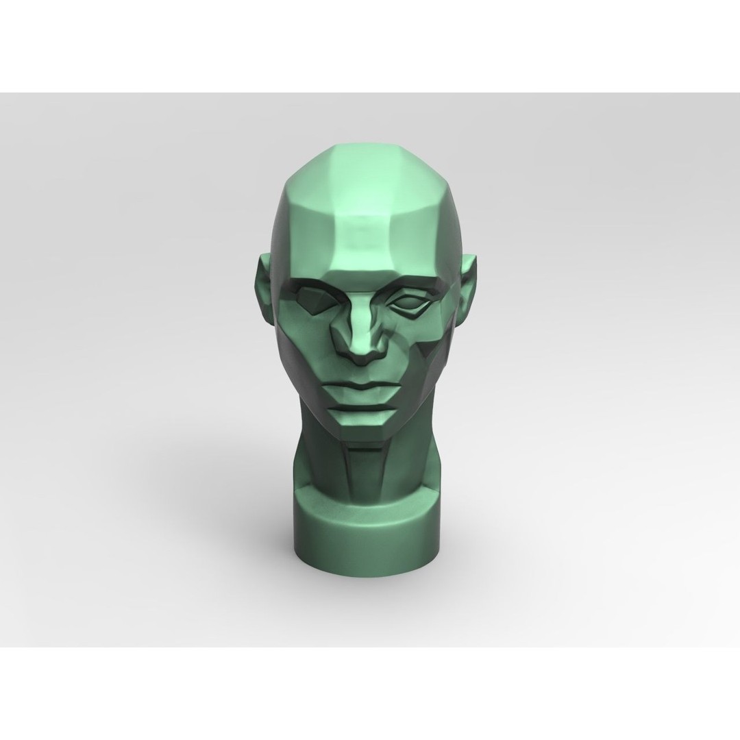 John Asaro Head 3D Model – Anatomical Study Bust, OBJ/STL Formats - View 6