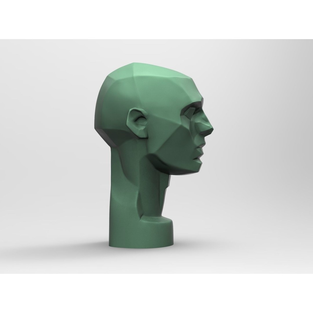 John Asaro Head 3D Model – Anatomical Study Bust, OBJ/STL Formats - View 7