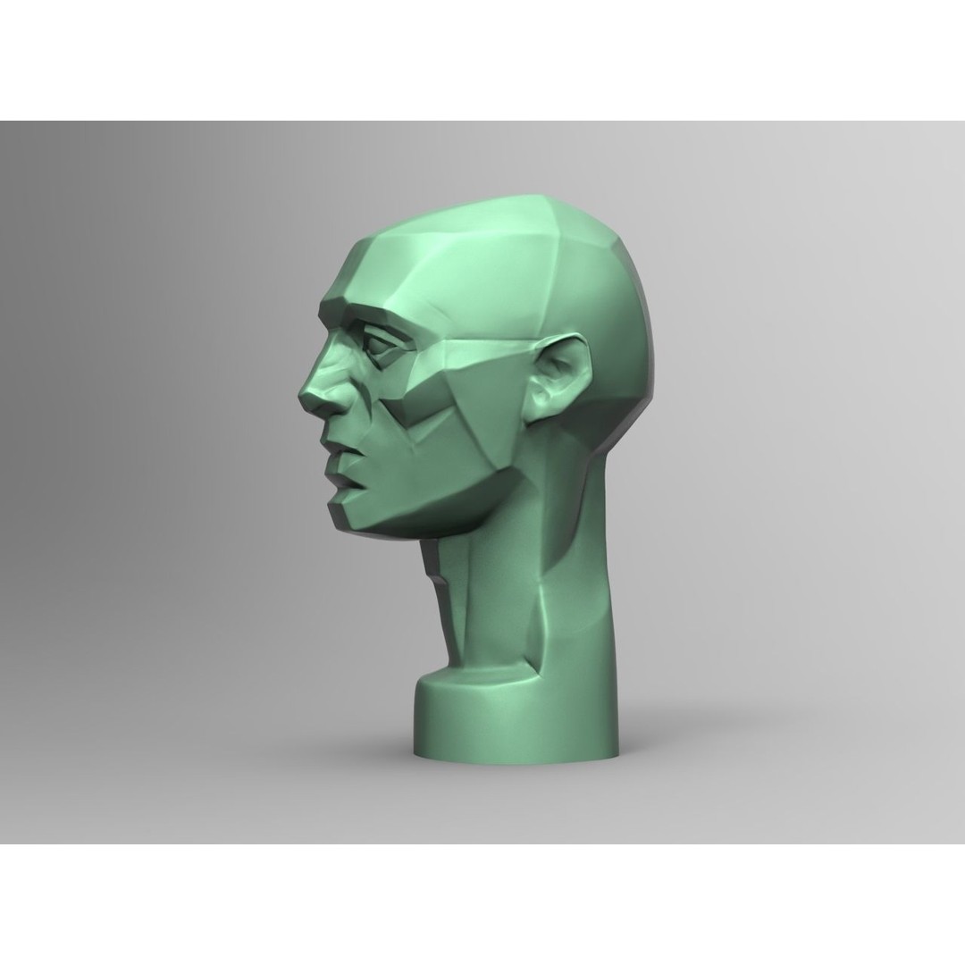 John Asaro Head 3D Model – Anatomical Study Bust, OBJ/STL Formats - View 8