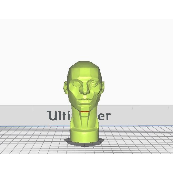 John Asaro Head 3D Model – Anatomical Study Bust, OBJ/STL Formats - View 9