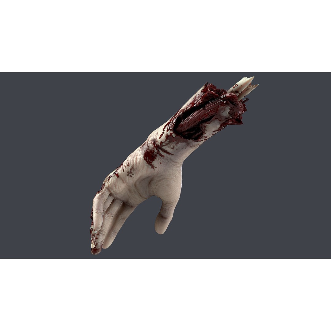 Severed Hand 3D Model – Low Poly Game Asset, PBR Textures, FBX - View 10