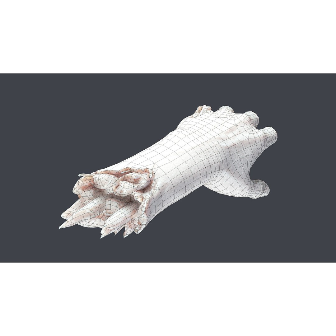 Severed Hand 3D Model – Low Poly Game Asset, PBR Textures, FBX - View 13
